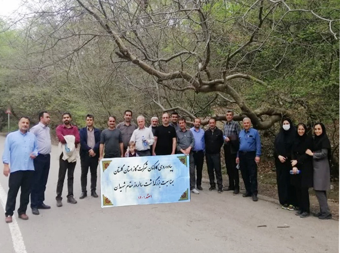 به مناسبت بزرگداشت روز شهداء انجام شد  پیاده روی کارکنان گاز  گلستان در پارک جنگلی النگ دره